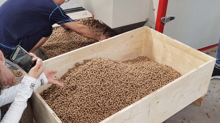 Brand new feed pelletizer machine suppliers budget in Gambia